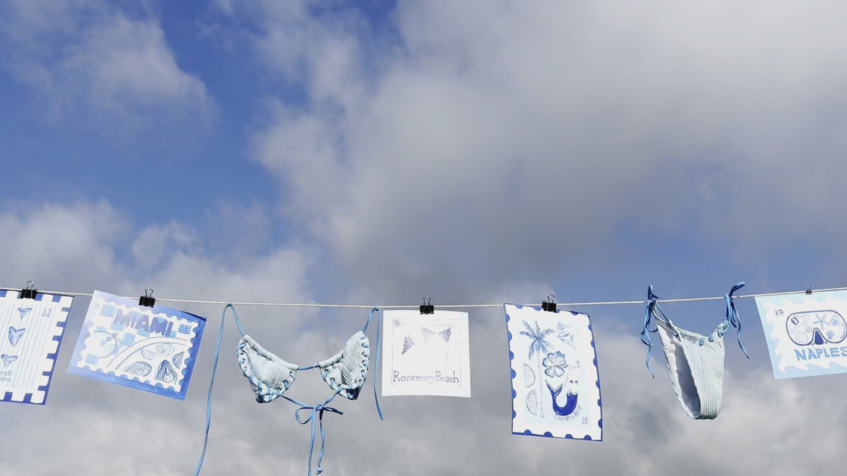 Bikini and Florida Prints hanging on a clothes line with blue sky background